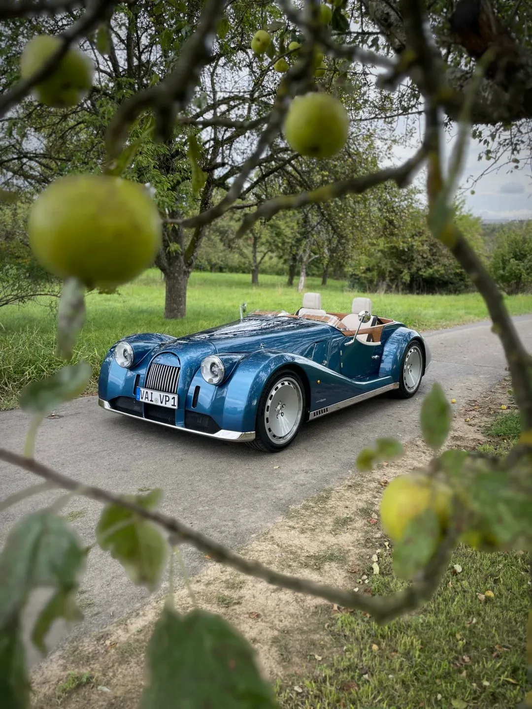 Morgan Plus Four in autumn leaves
